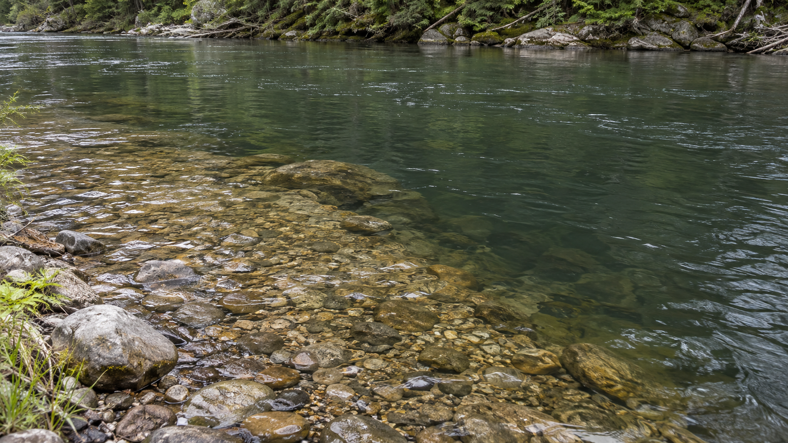 Underwater drop-off from shallow to deeper trout water