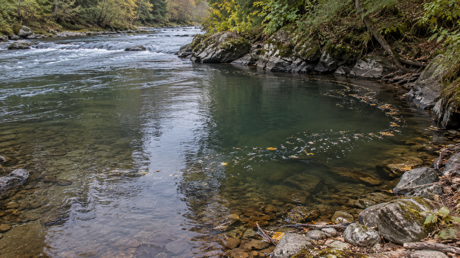 River eddy creating slower trout holding water