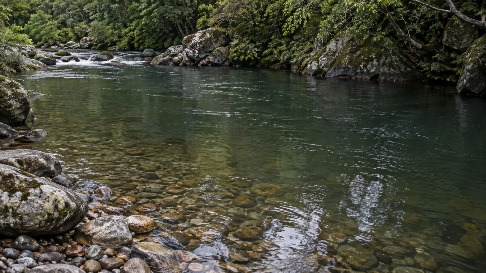 Deep trout pool