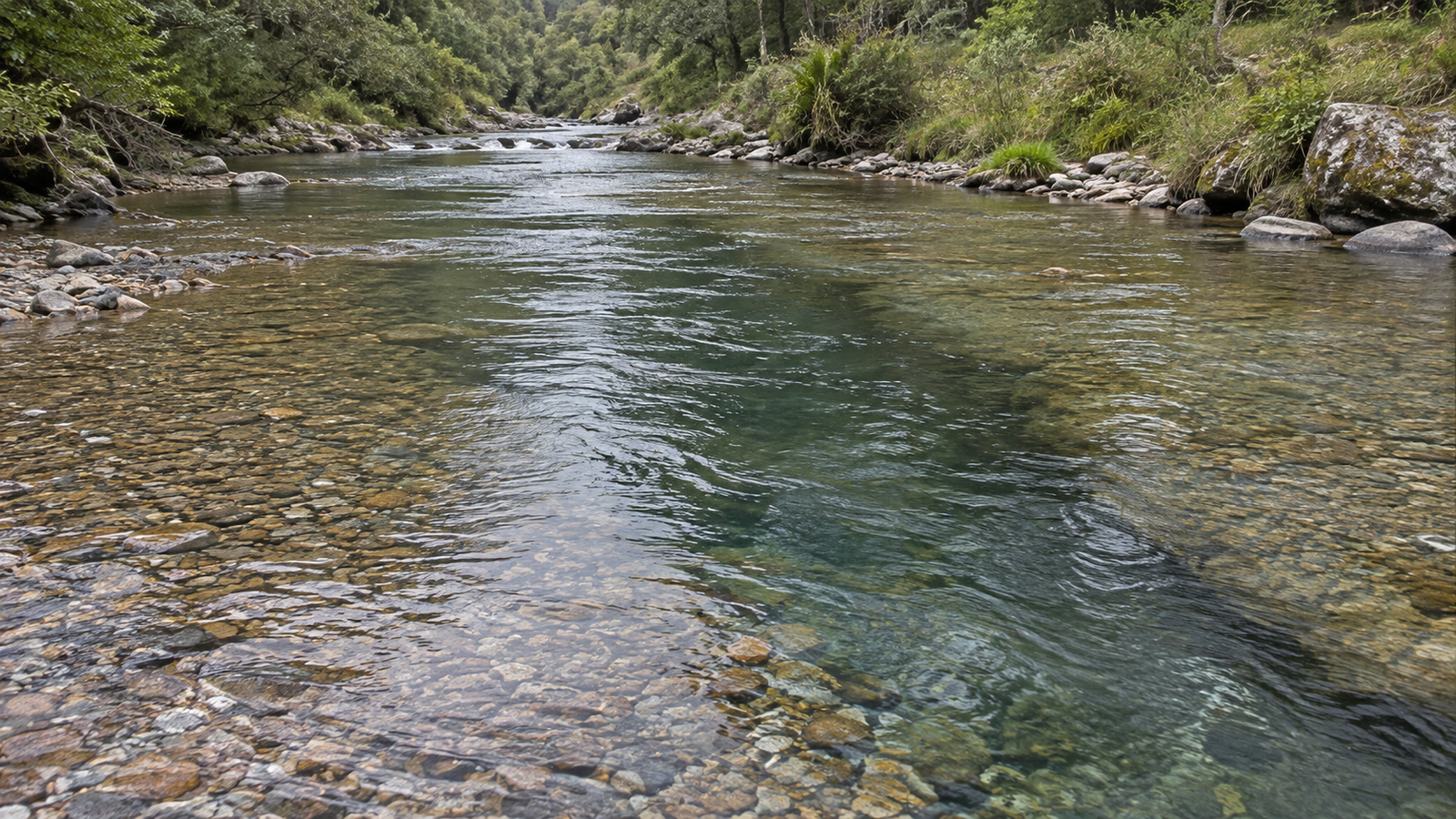 Deeper underwater trough or channel in a trout stream